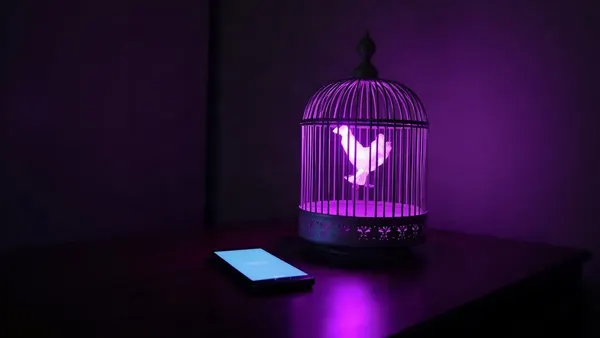 Gabbia per uccelli aperta da cui esce una luce viola, accanto a uno smartphone (illustrazione dell’articolo)